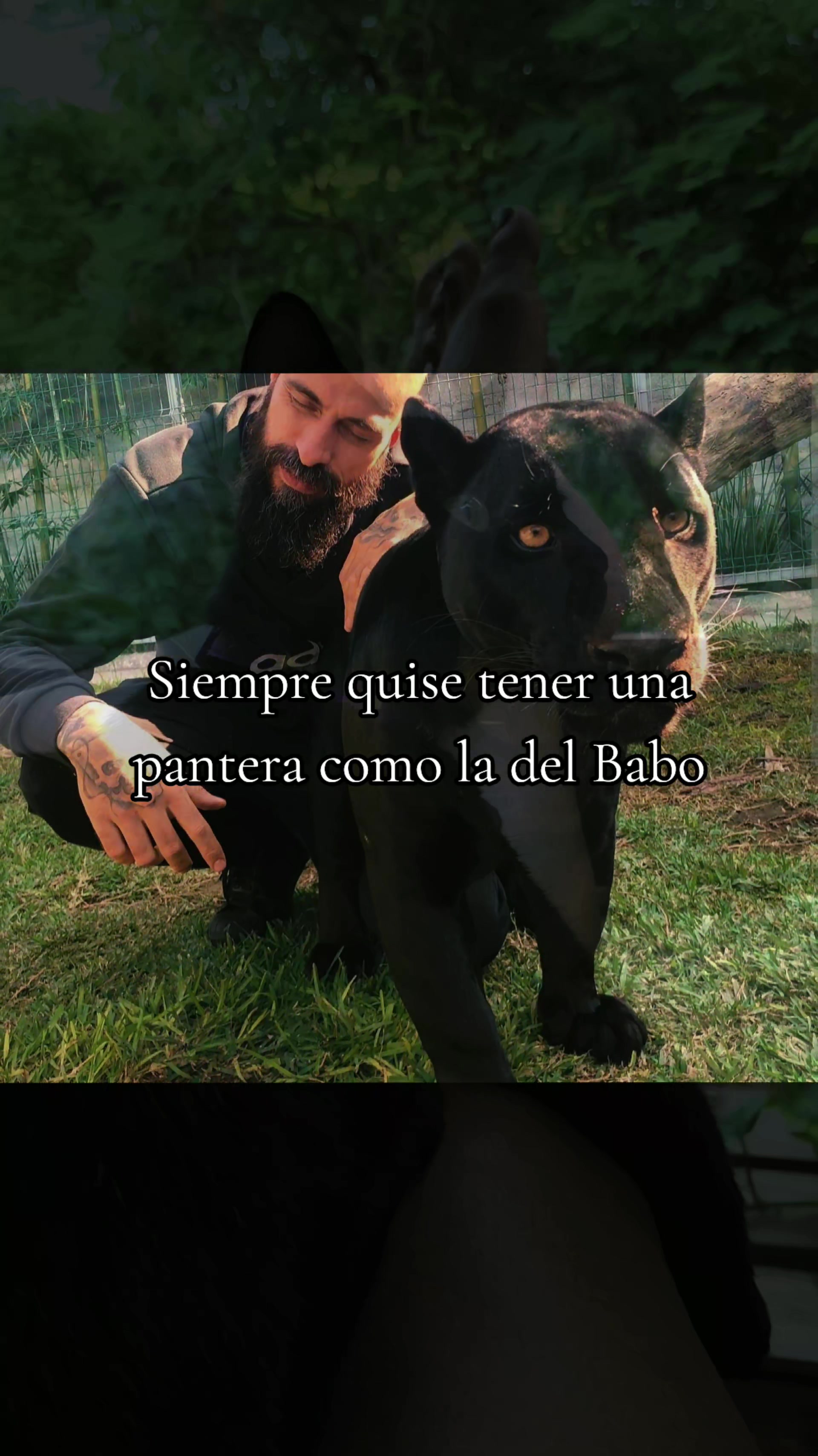 @JaZm¡¡N_**bruj¡¡ta**