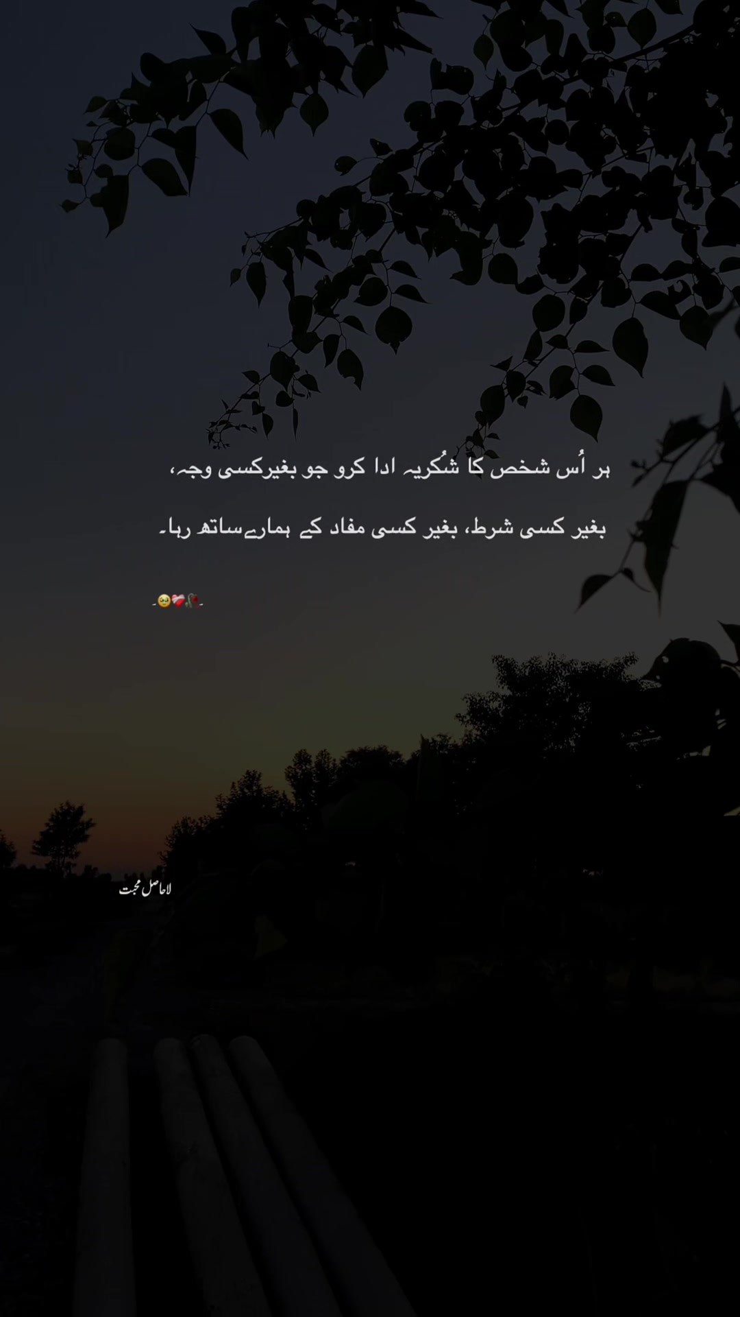 @لا حاصل محبت💔