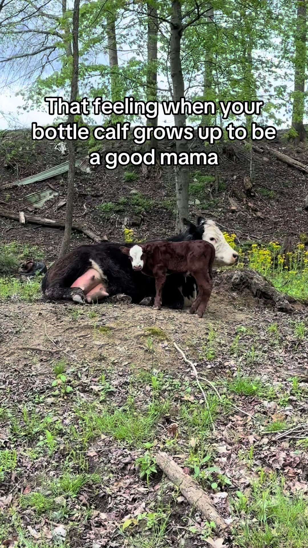 @Strong Family Farms