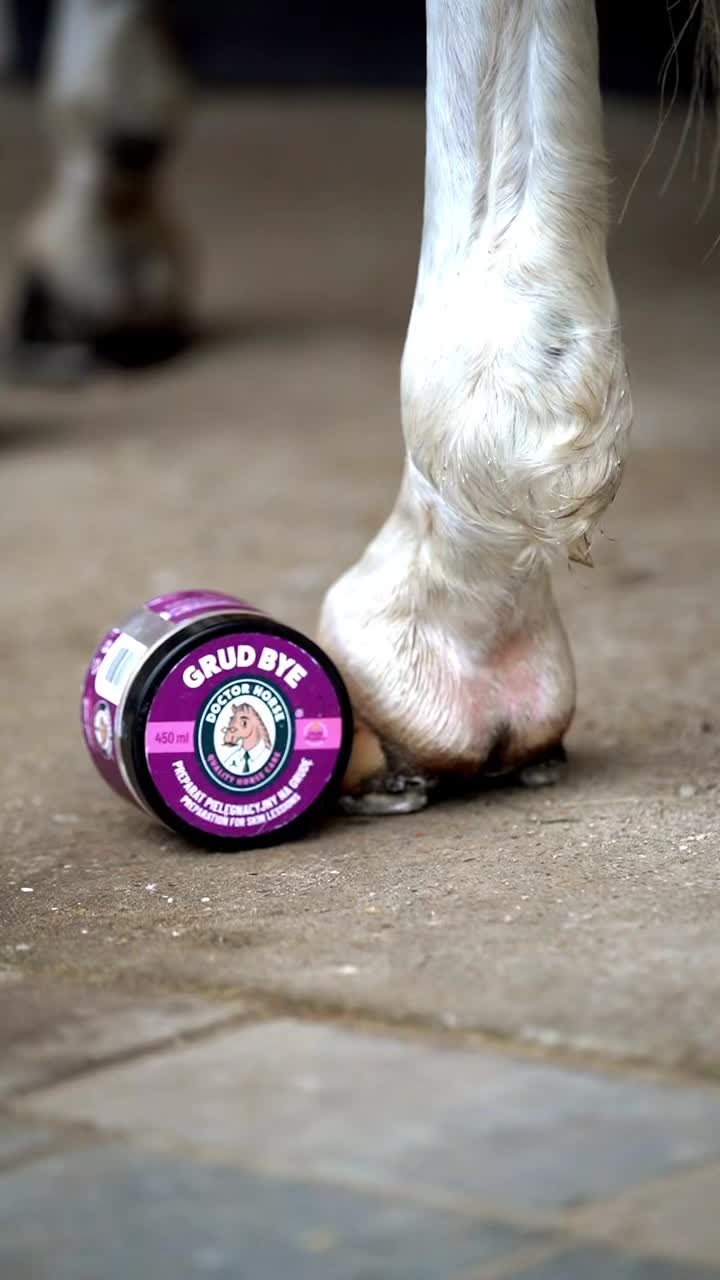 @Doctor Horse