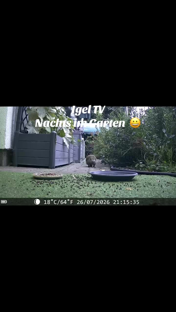 @Berit B. 🫣🙋♀️🫣