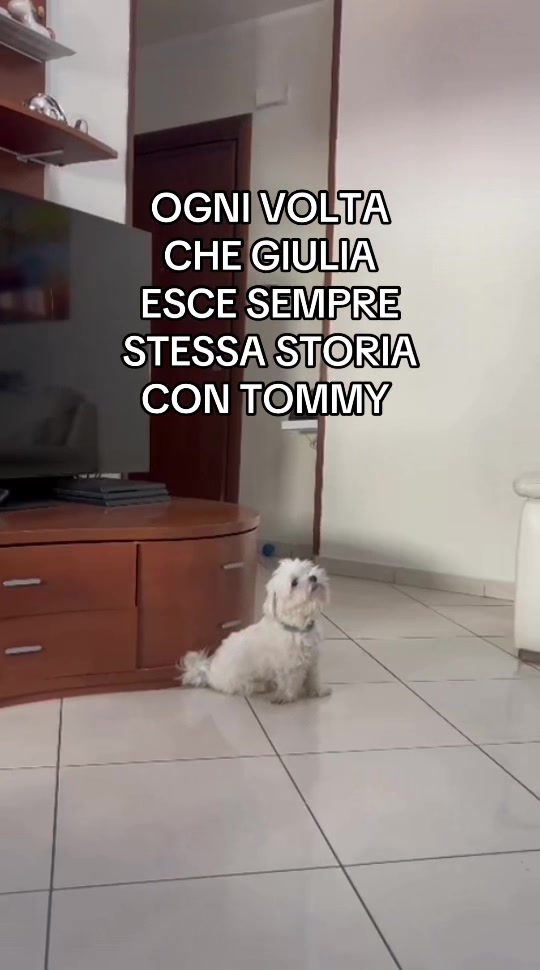 @marghegiuliaofficial