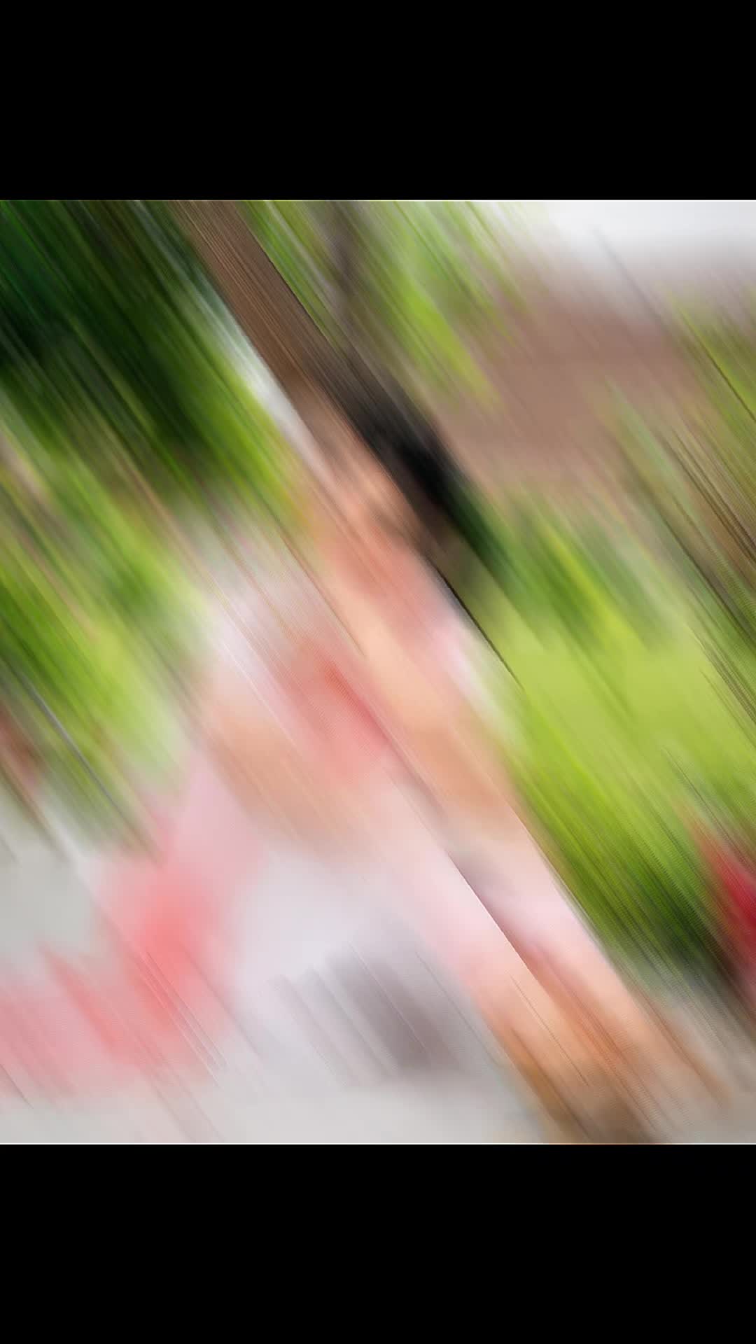 @®️⭕𝕫ℹ️ 🐅