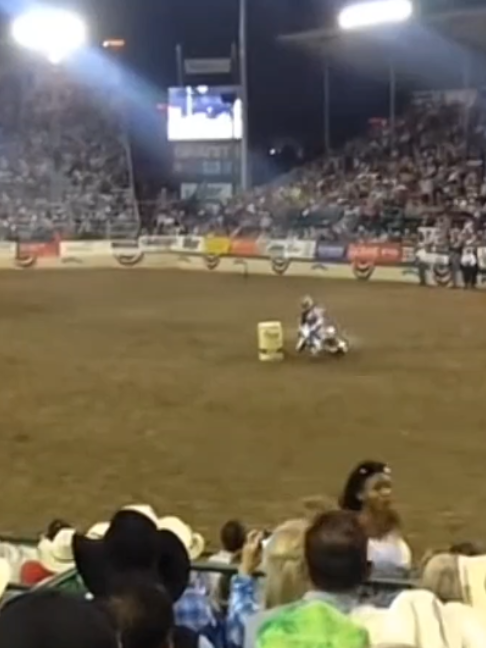 @Horses TikTok