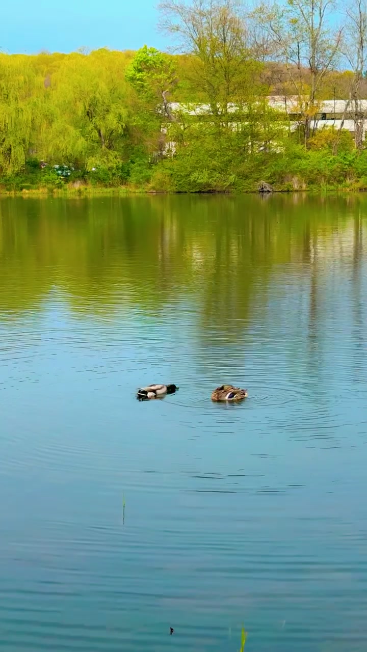 @sanyuktamallathakuri