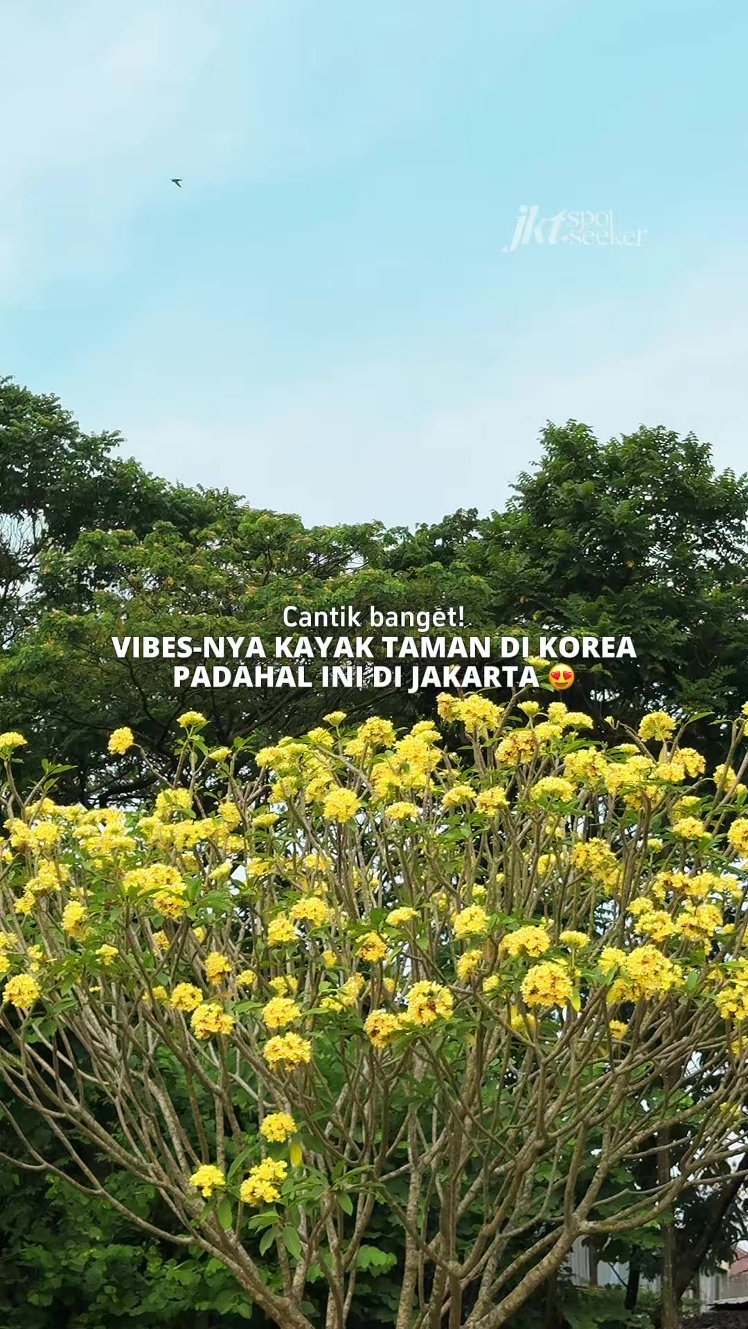 @Jakarta Spot Seeker