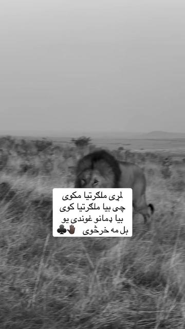 @🥷🏿کــــپــــچــــه🥷🏿