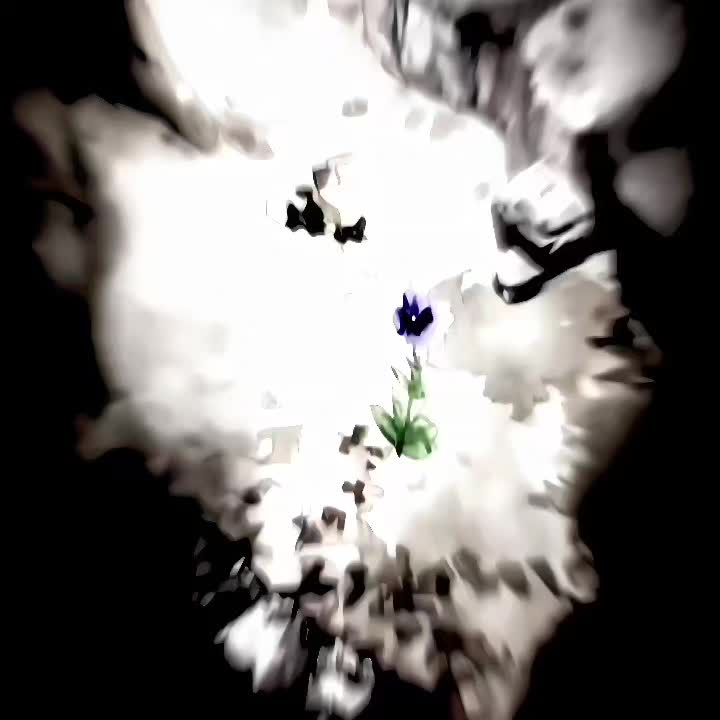 @xenoo_editz