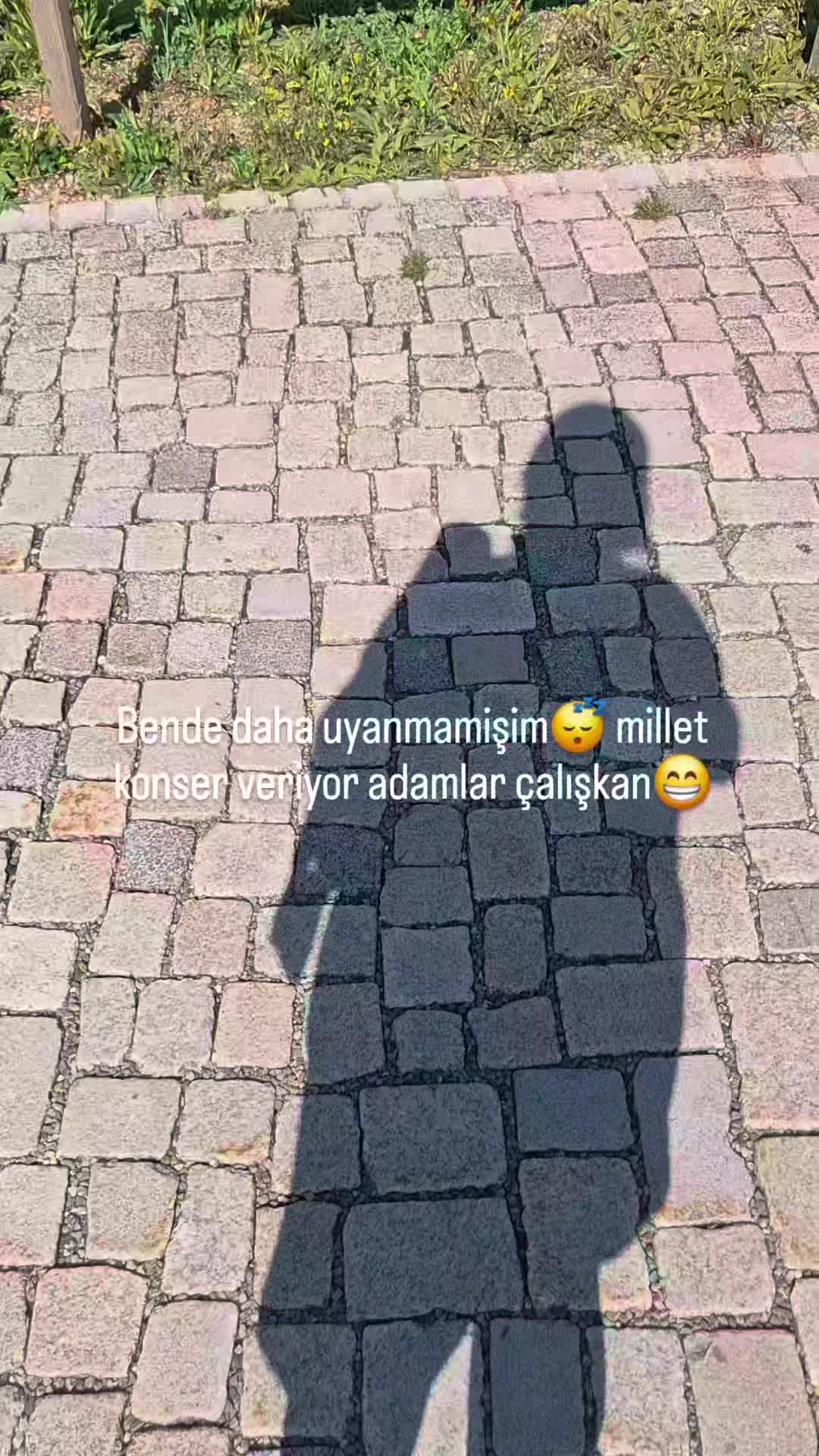 @Sebi