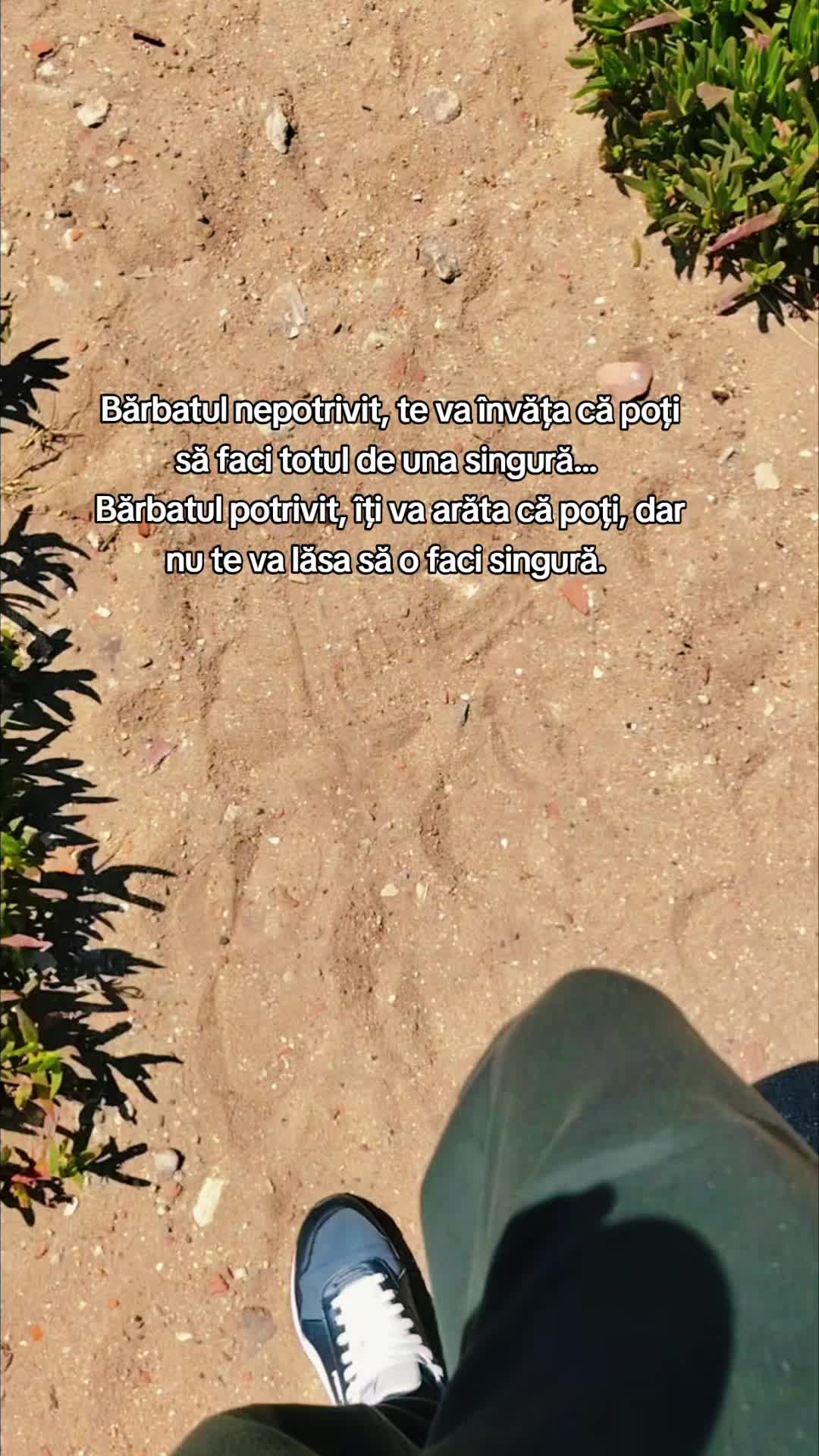 @12 ALM