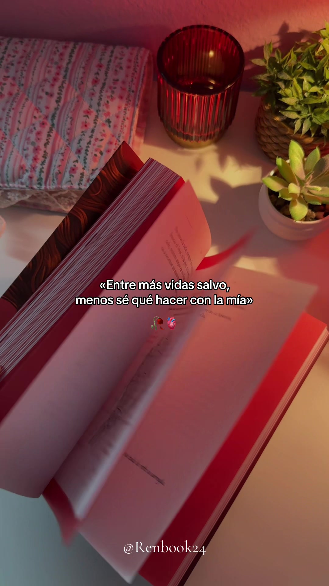 @Renbook