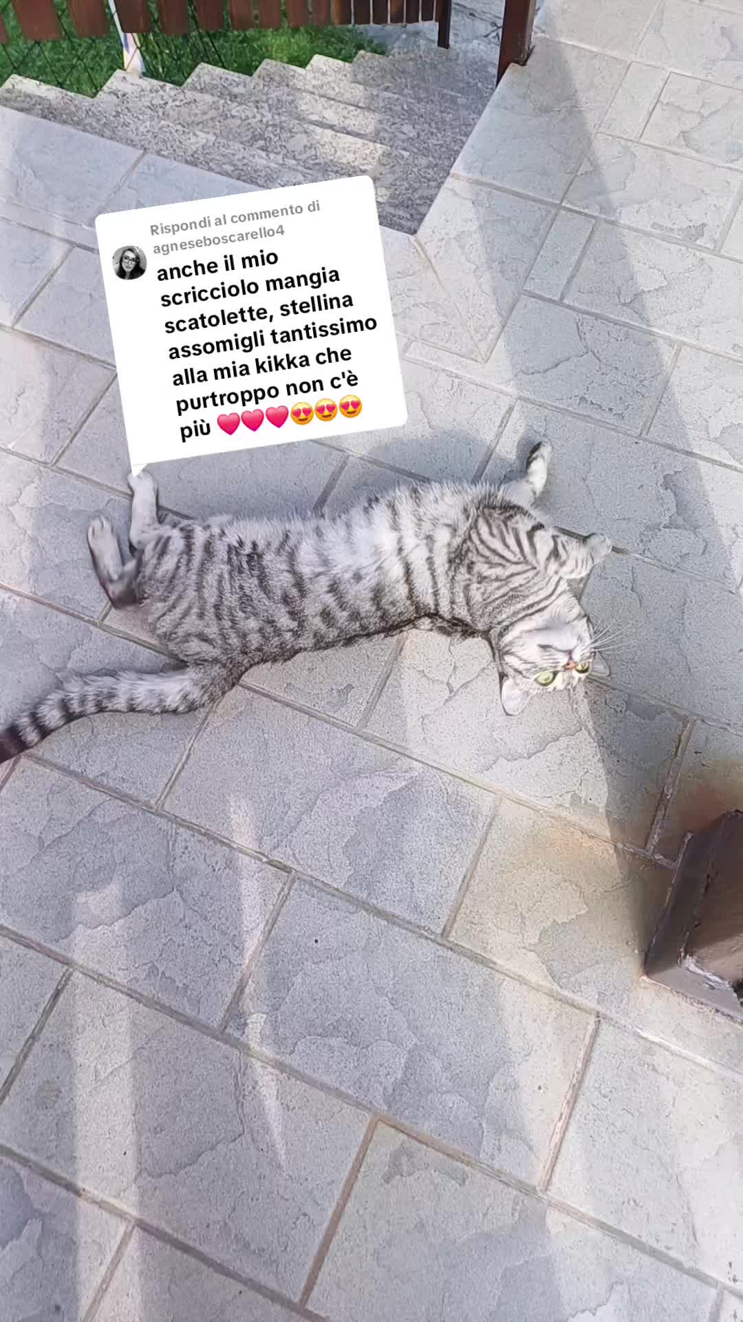 @Stellina