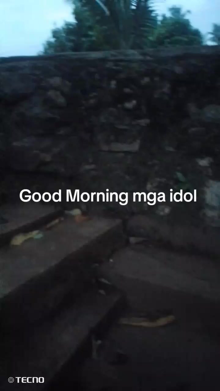 @wildedon vlog