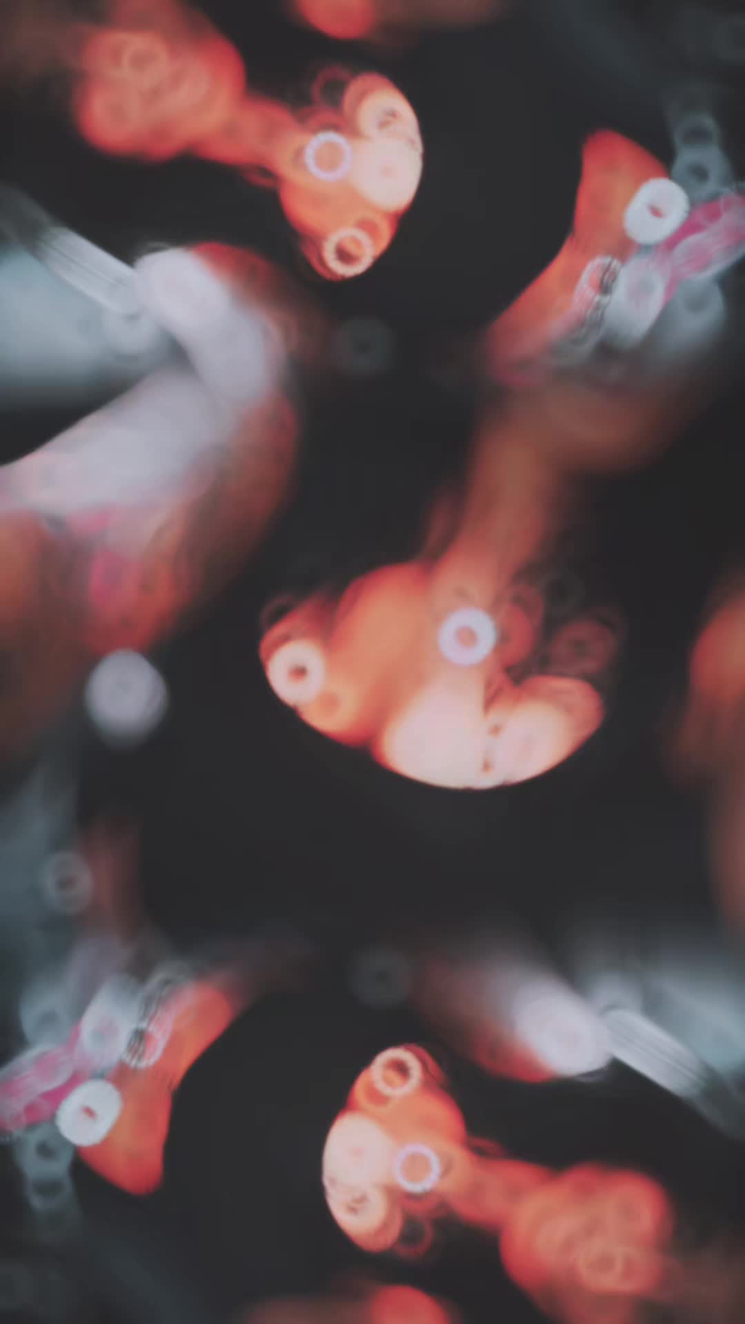 @Laura_🖤