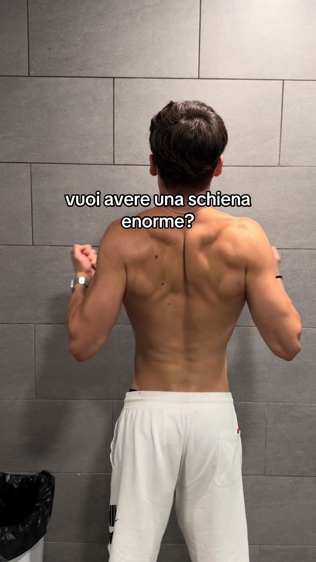 @Nicholas Ippoliti