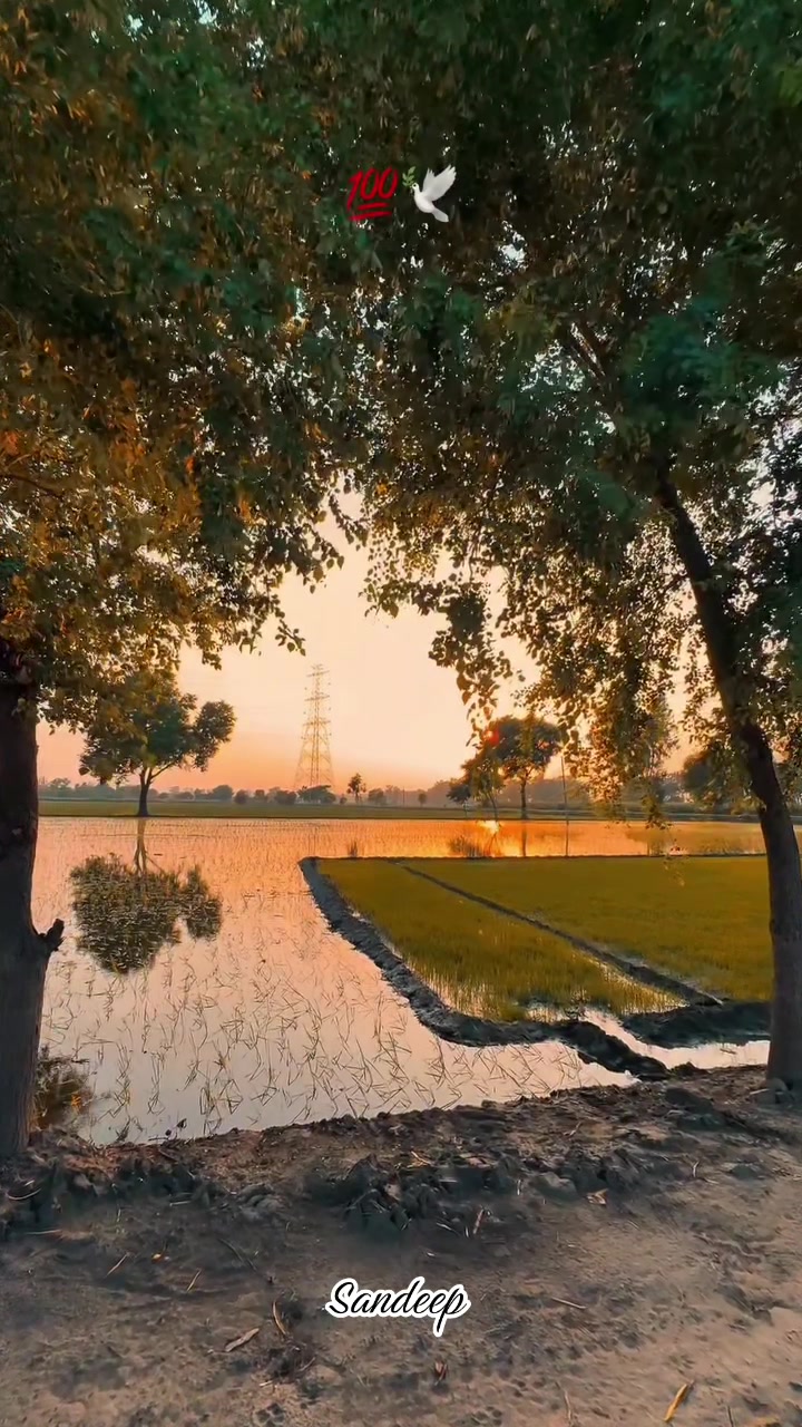 @Sdeep_2022