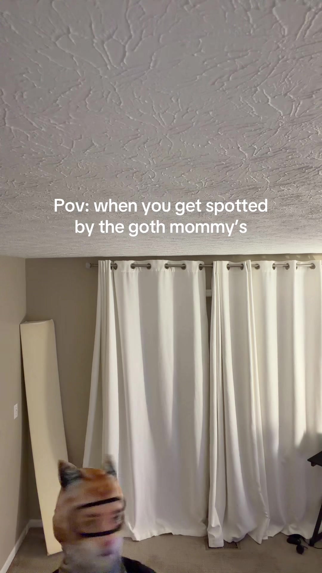 @Catmaxxer