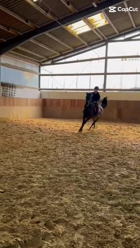 @🫶🏻❤️
