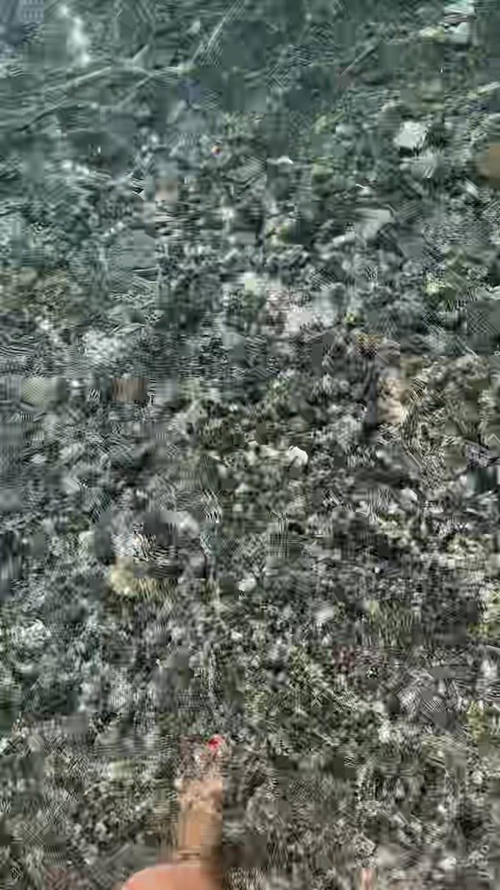 @serenella0000