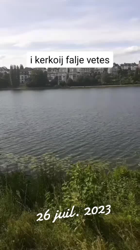 @Leyla 28 05 2021