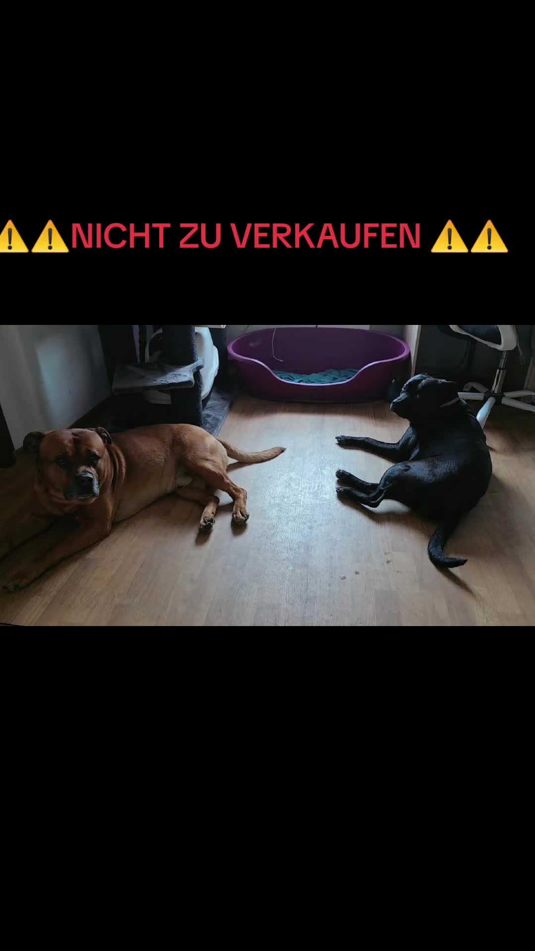 @â¡ðð²ð²_ððªâ¡