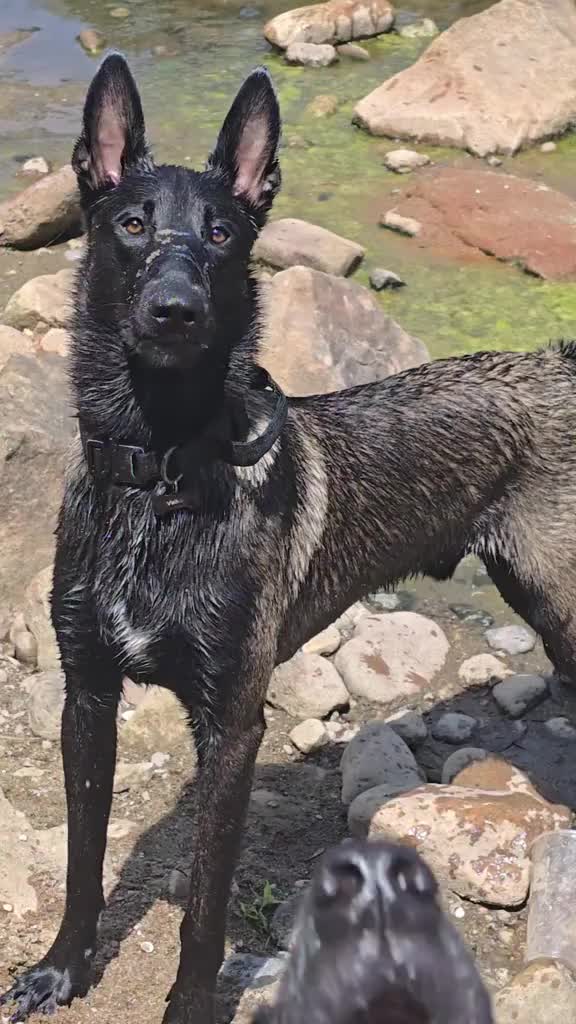 @TIA 🔥❤️🔥