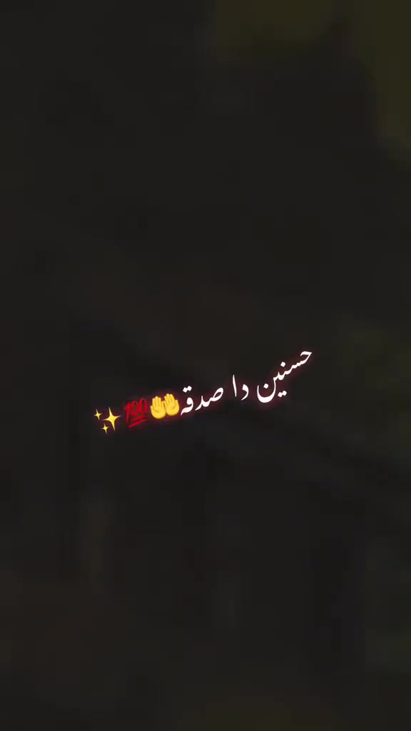 @✨🦅دلاورٹوانہ ہڈالی آلہ🦅✨