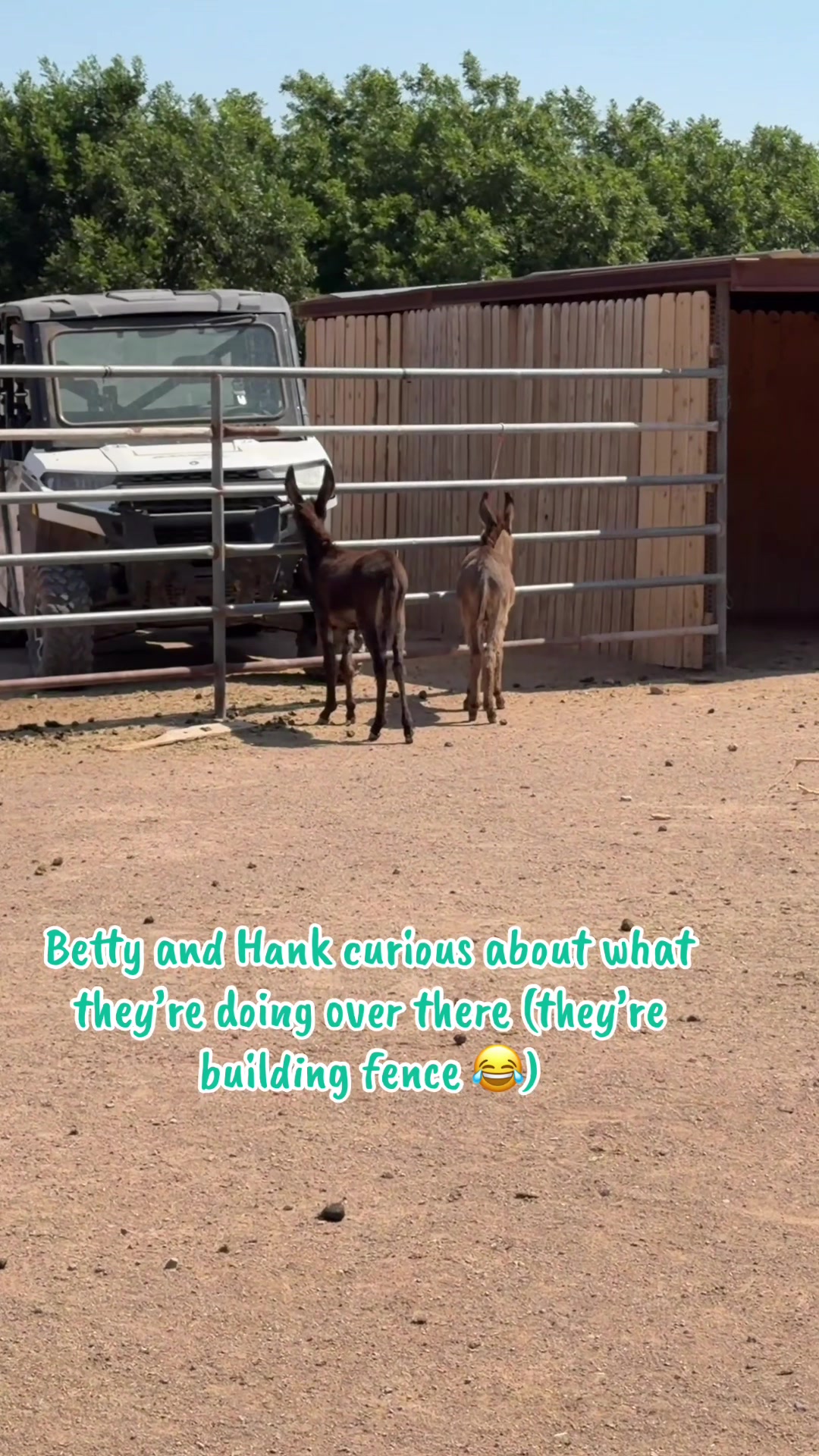 @Mini ASSets Farm