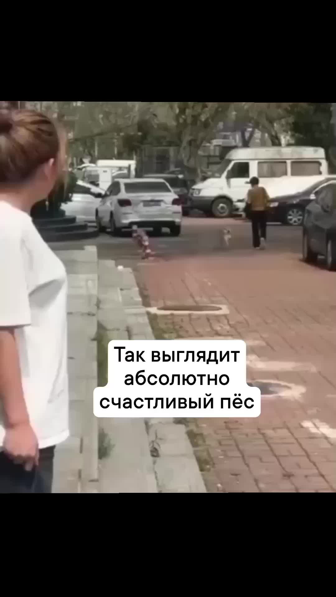 @Борисыч📸📹