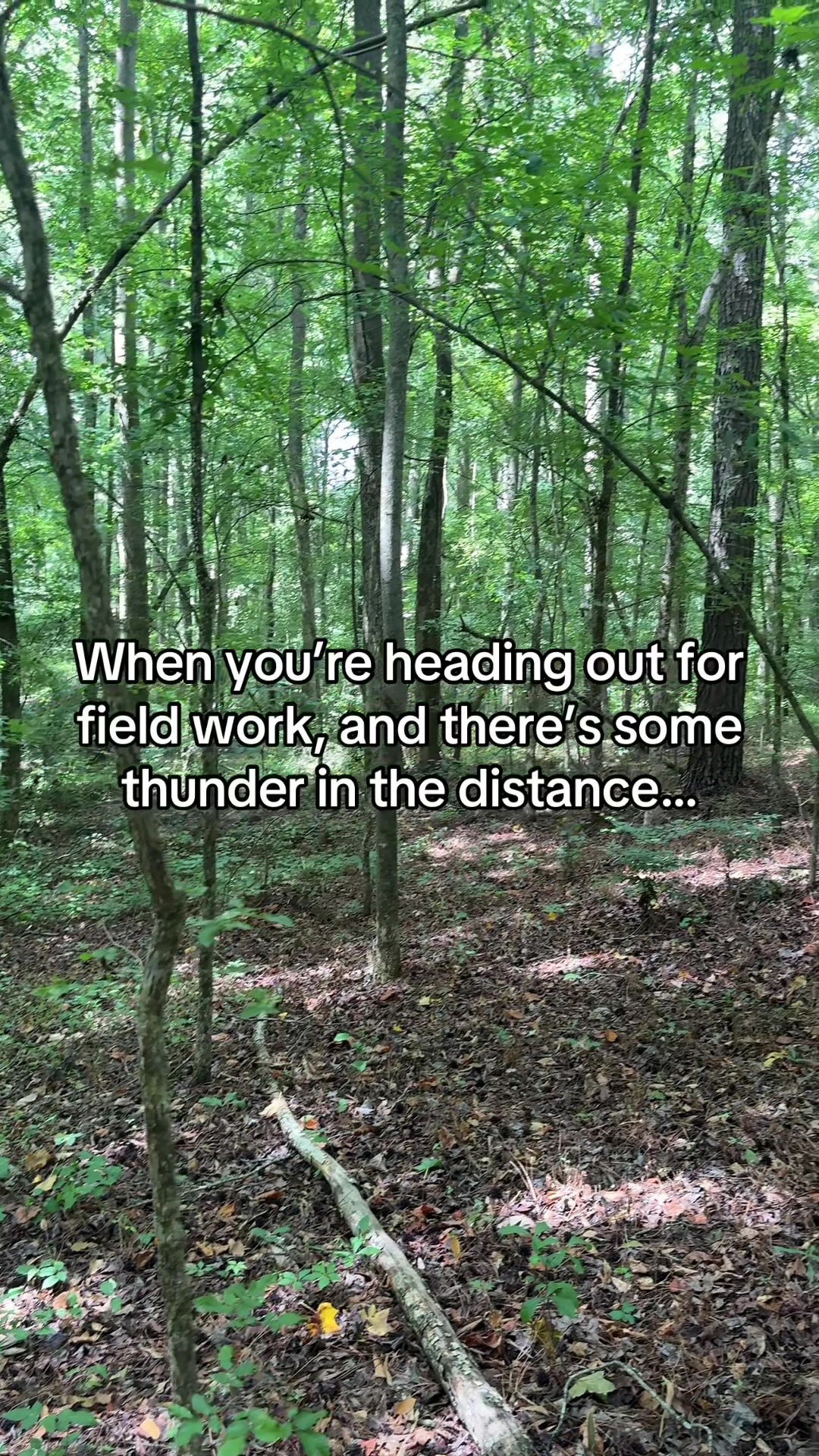 @Hayley 🌿🦇🌻