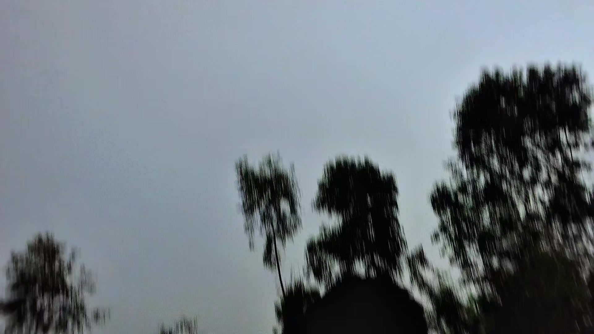 @SK NAGPURI 44