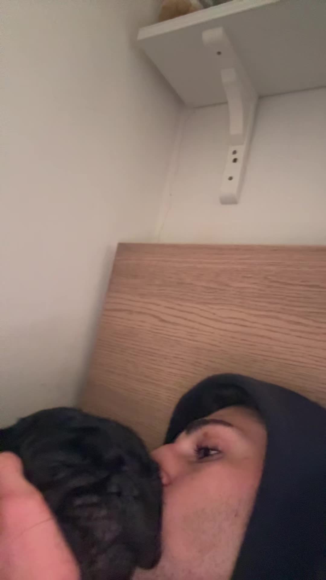 @nikushia