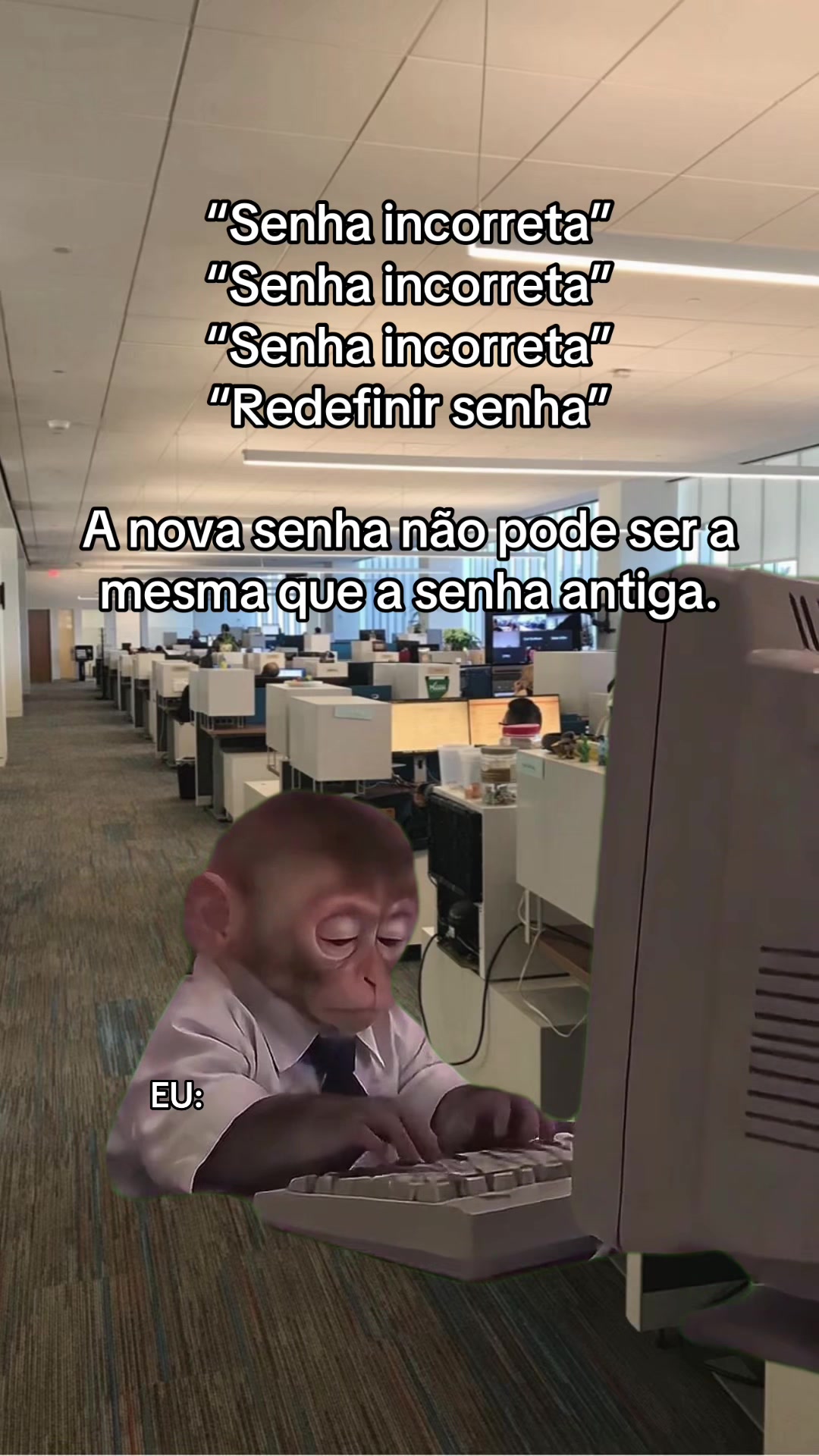 @tababadeira