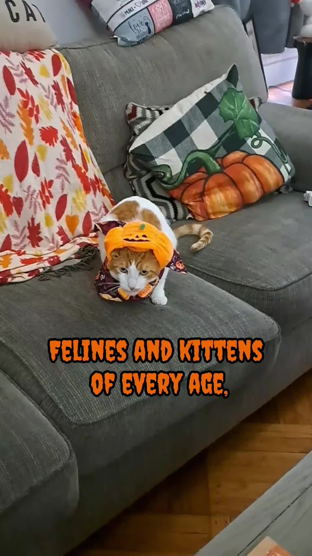 @Candice & Weasley