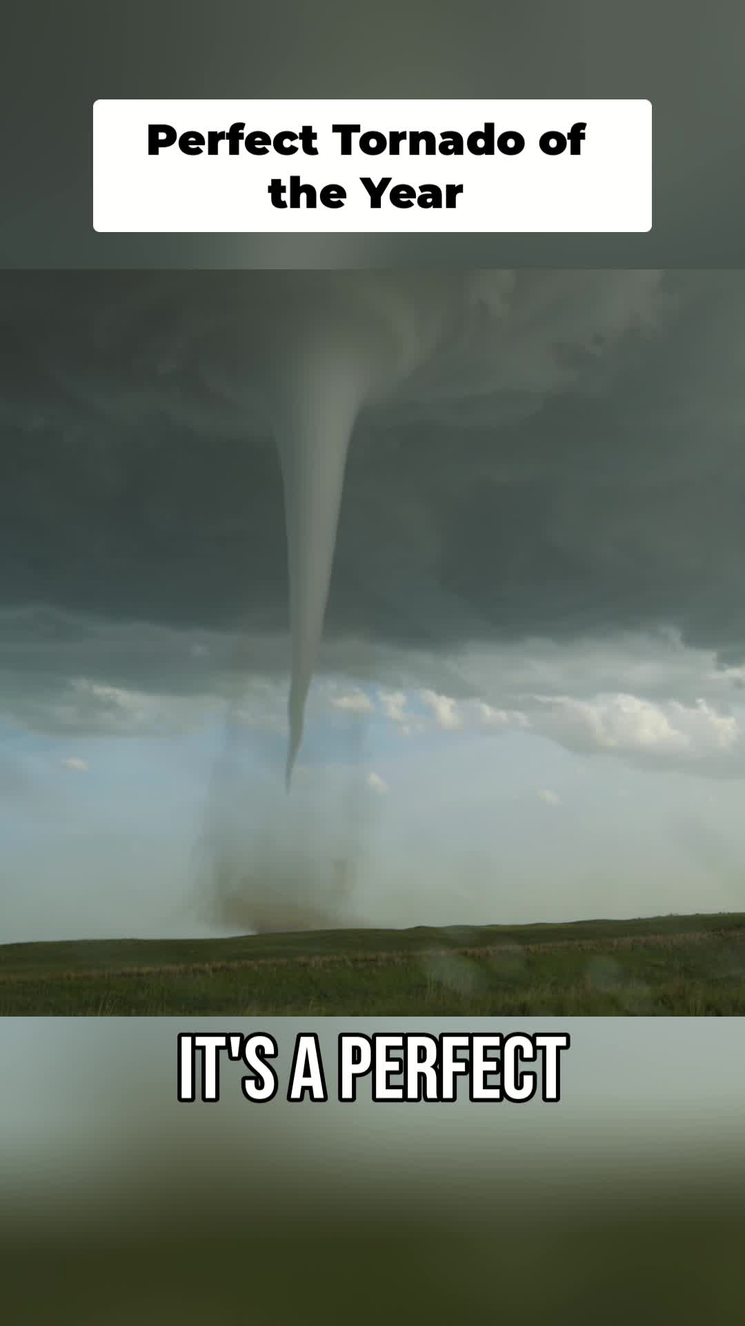 @🌪️ tornado season 🌪️