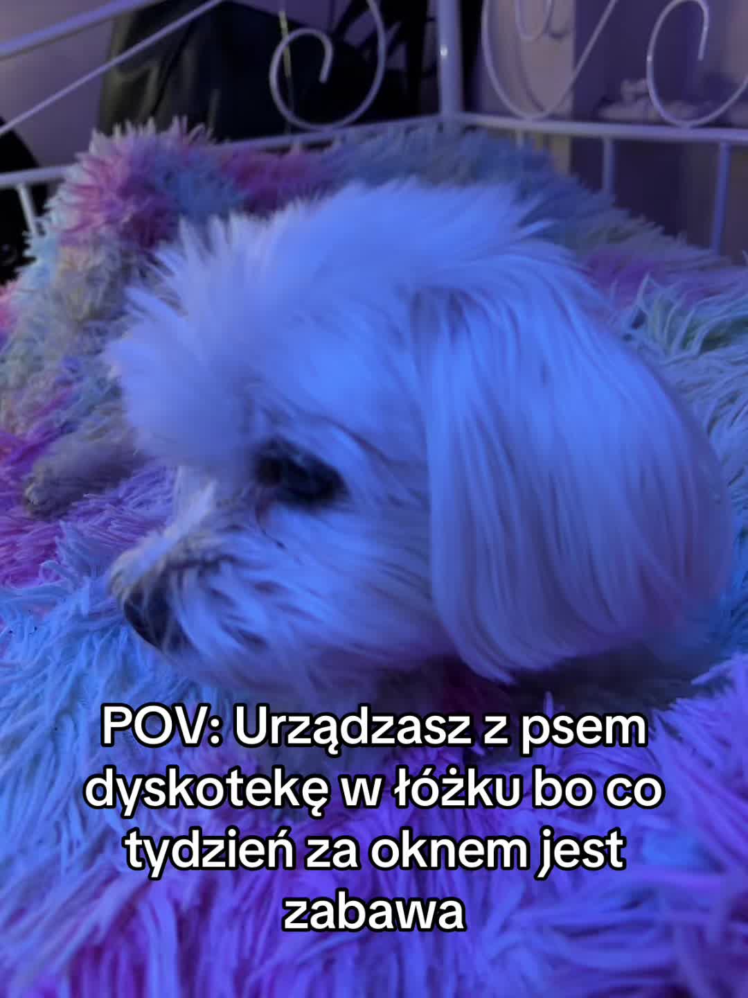 @3mi_piero