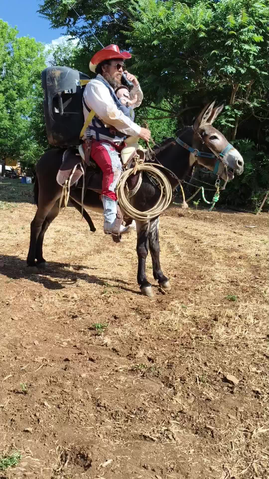 @PINOLAIS