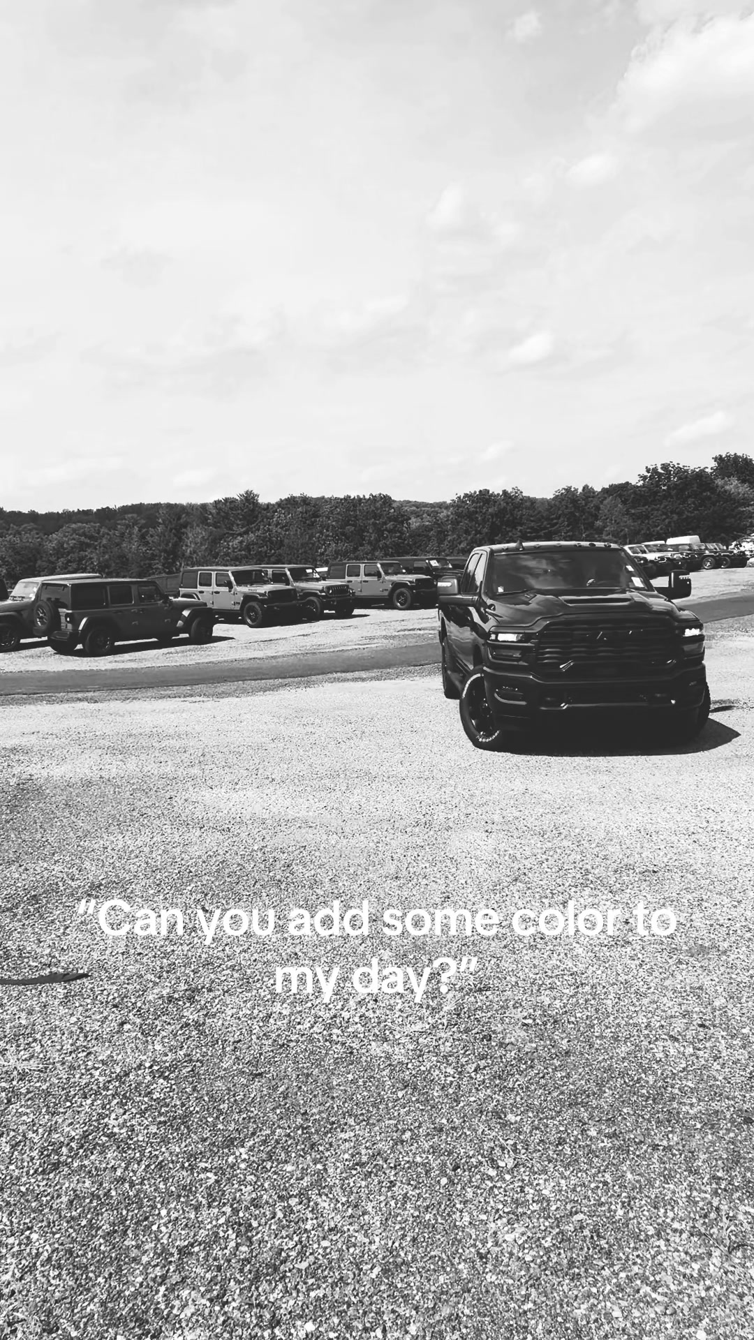 @Jeff D’Ambrosio Auto Group