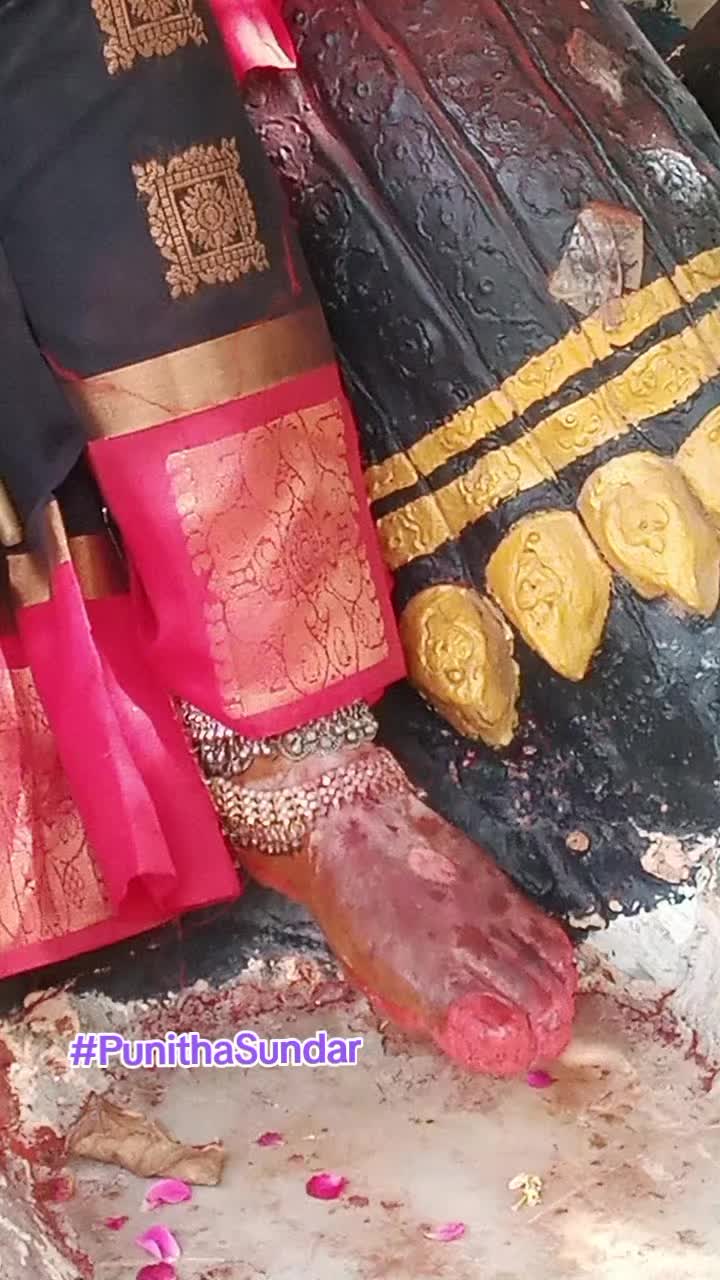 @๐๐ค PUNITHA SUNDAR ๐ค๐