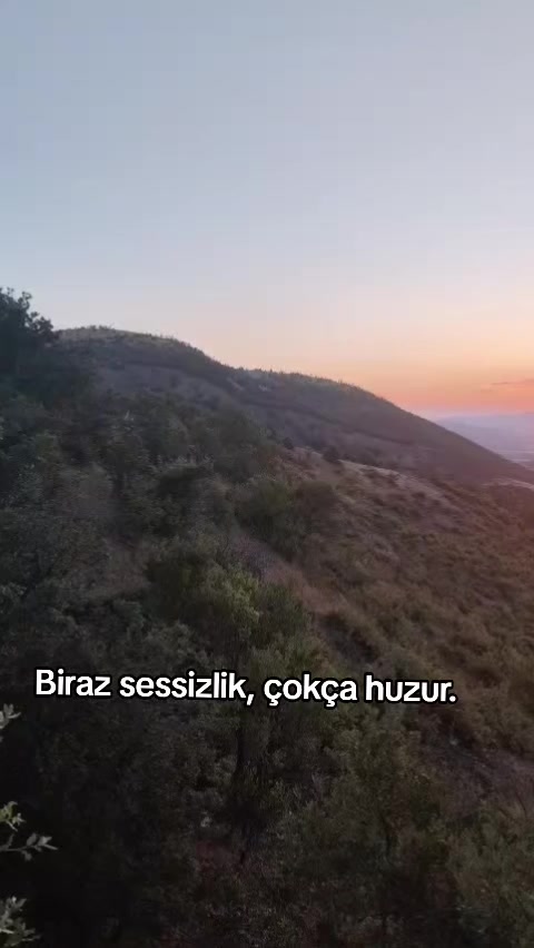 @rukiye özsoy