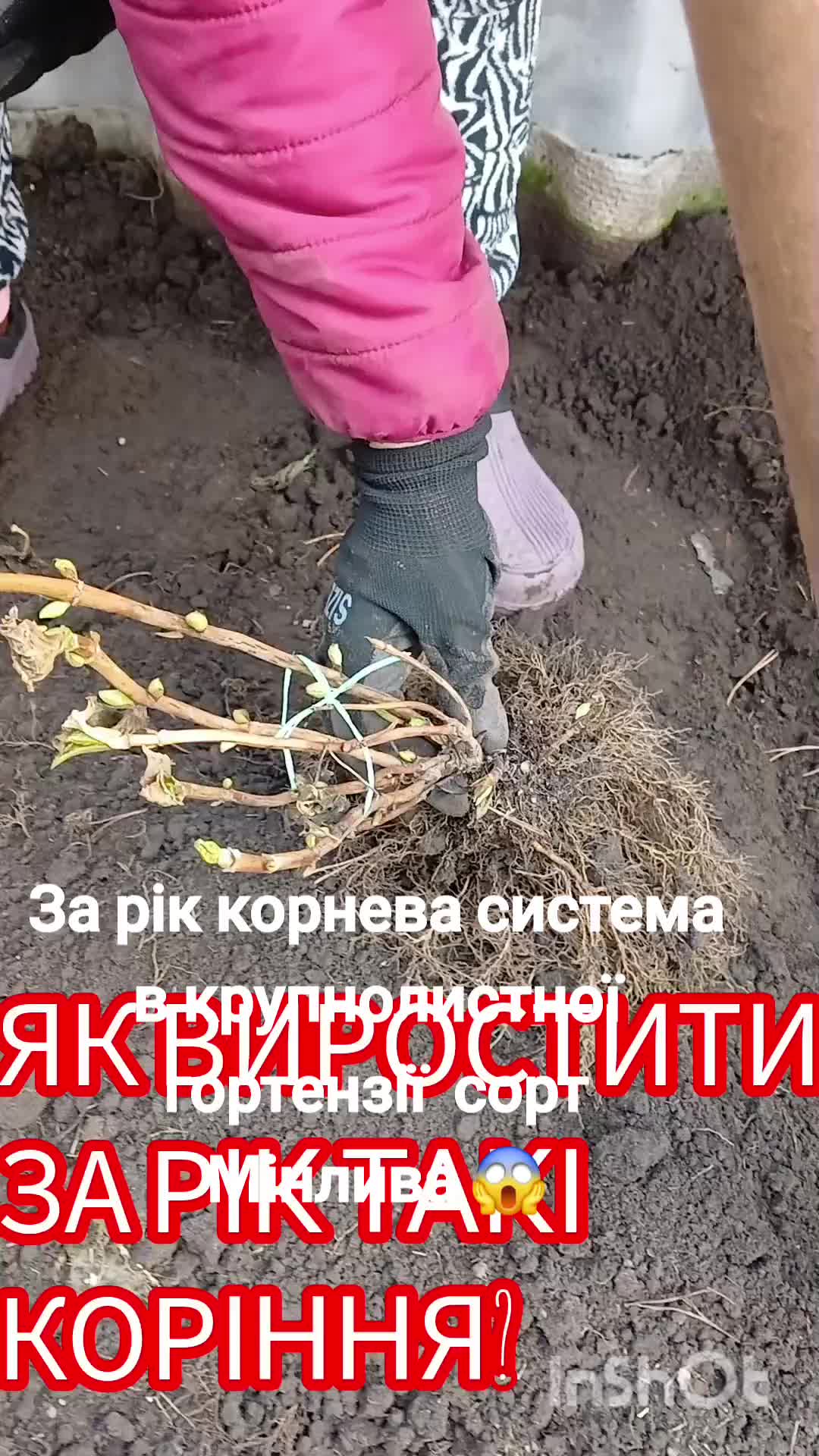 @🦋 Larisa_Fedorovna 💐