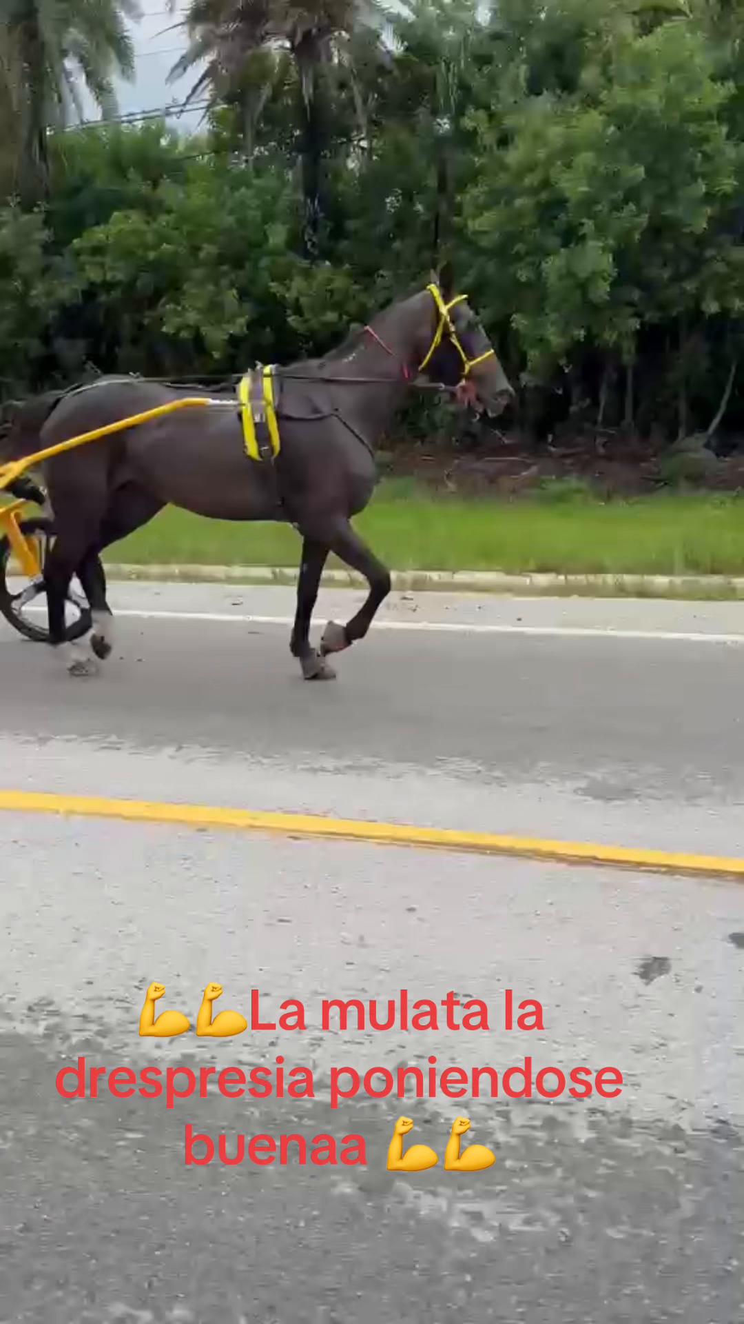 @🔥🔥❤️EL FEO ❤️🔥🔥