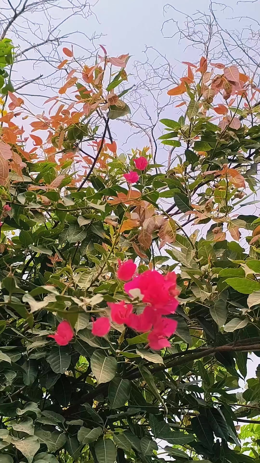 @🥀 روح پُوش