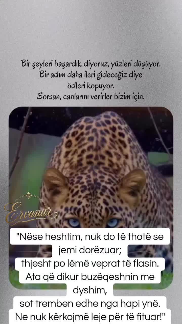 @✧ERVANUR✧