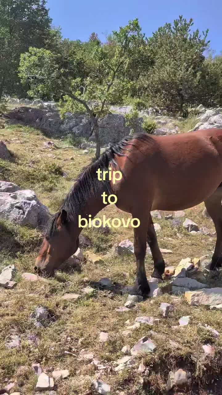 @lea