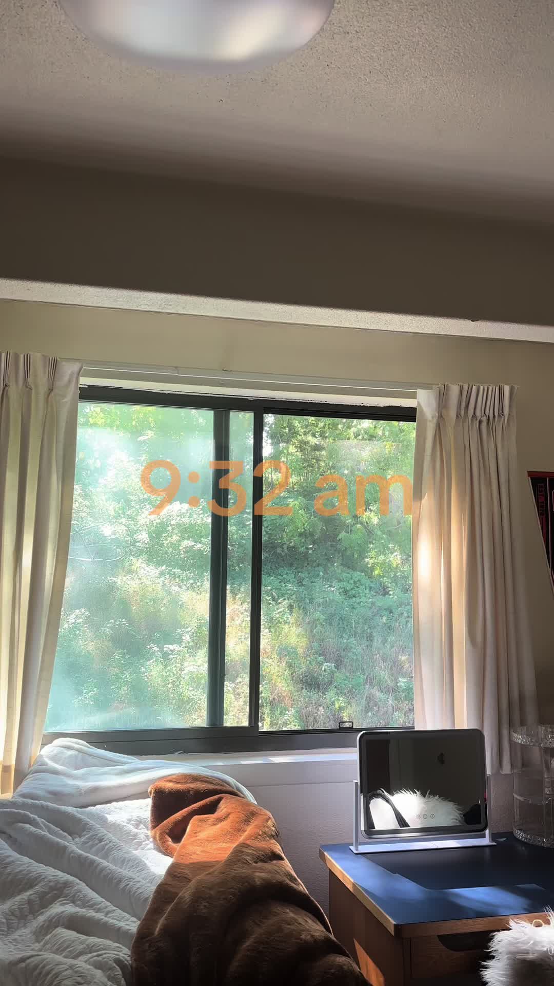 @sophia