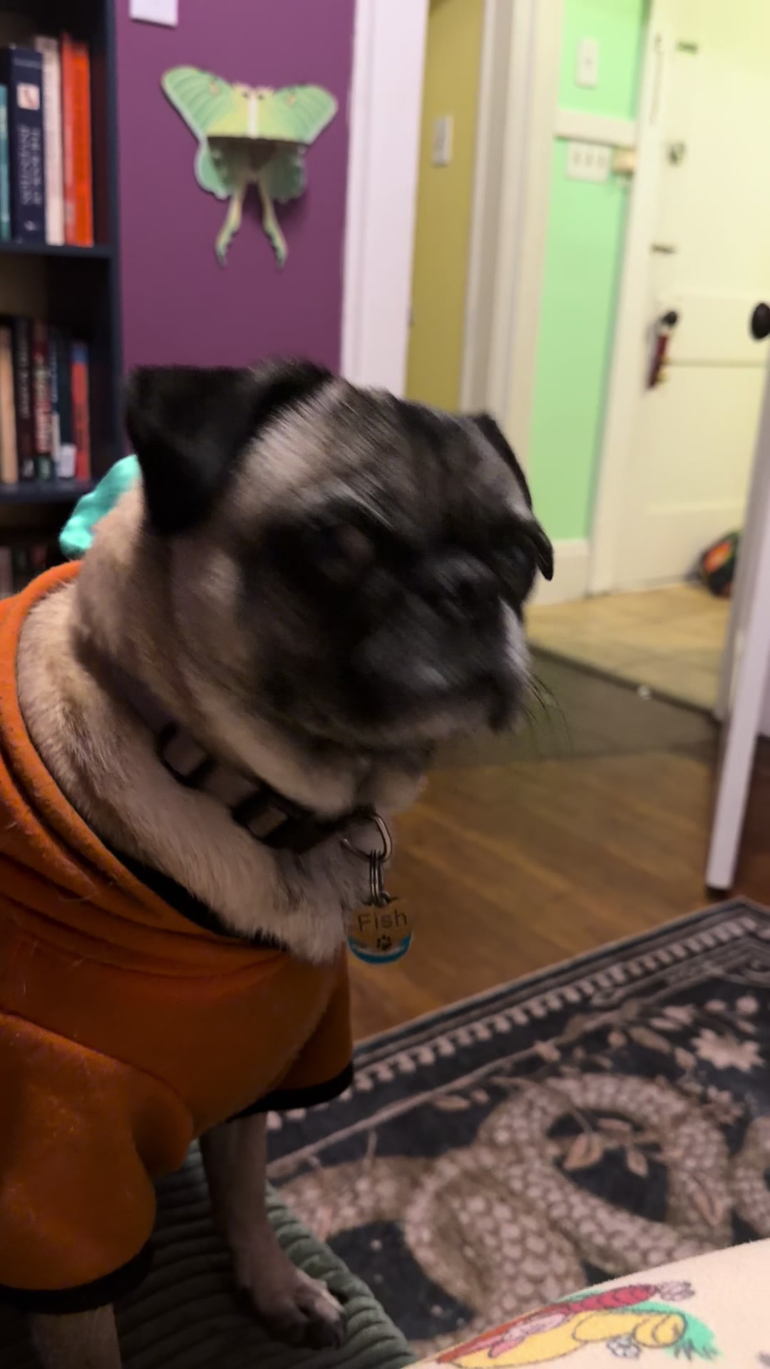 @NEWT-DAILYVLOG