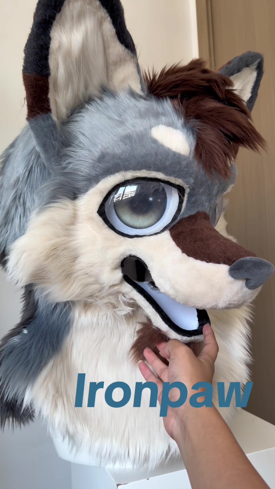 @DokiiFurry232