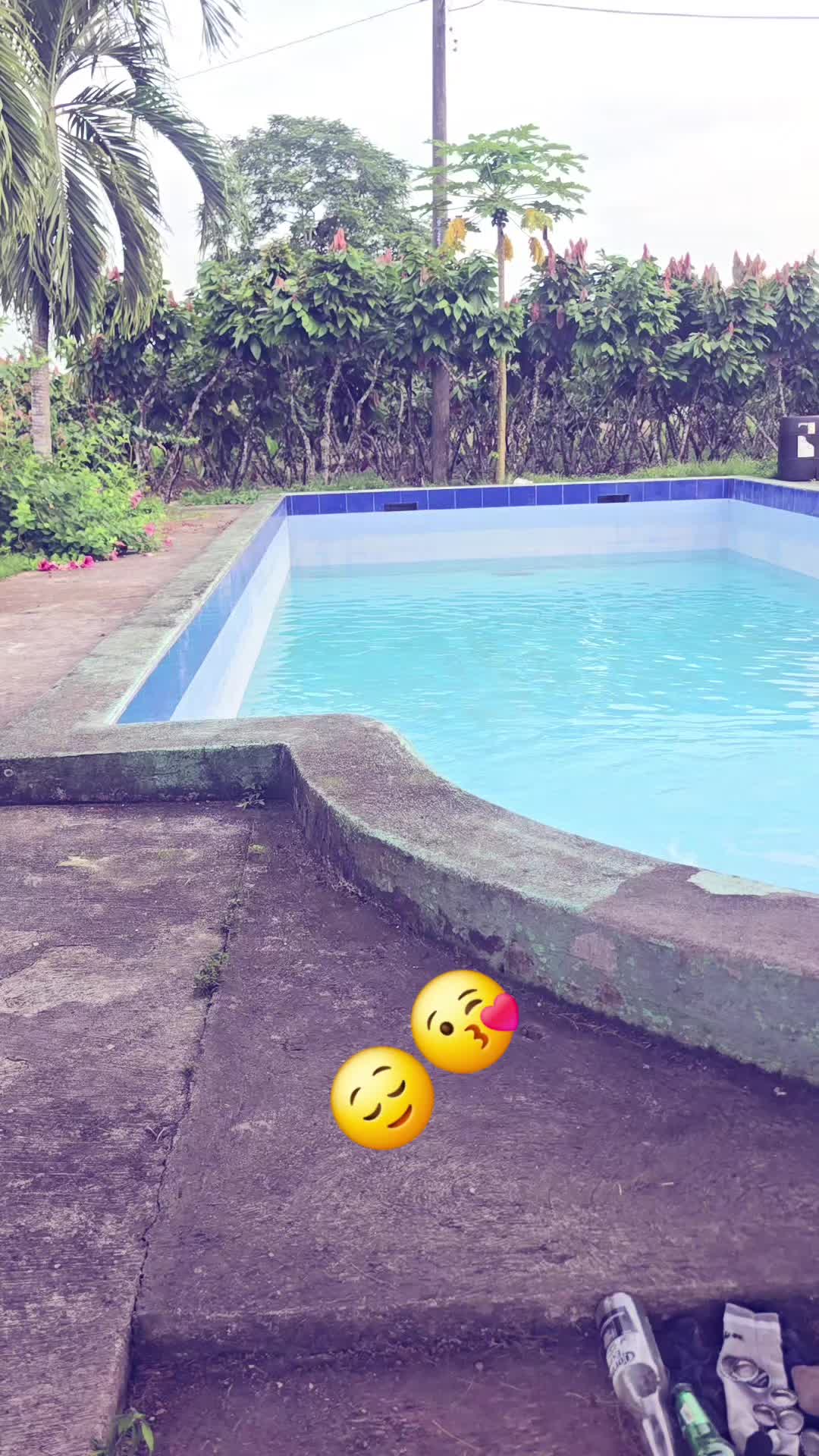 @🐓TU GALLO FINO 🐓