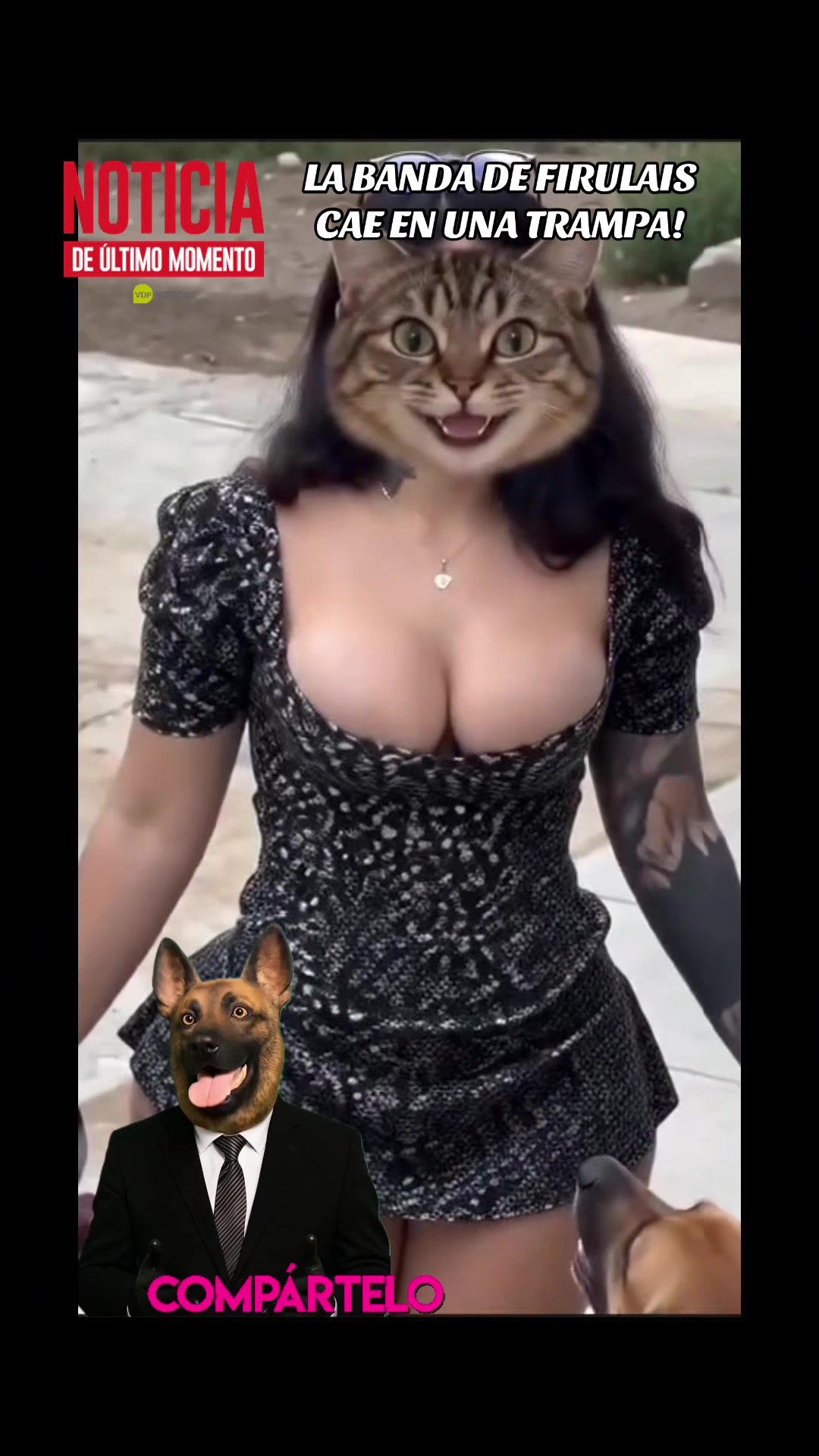 @FIRULAIS